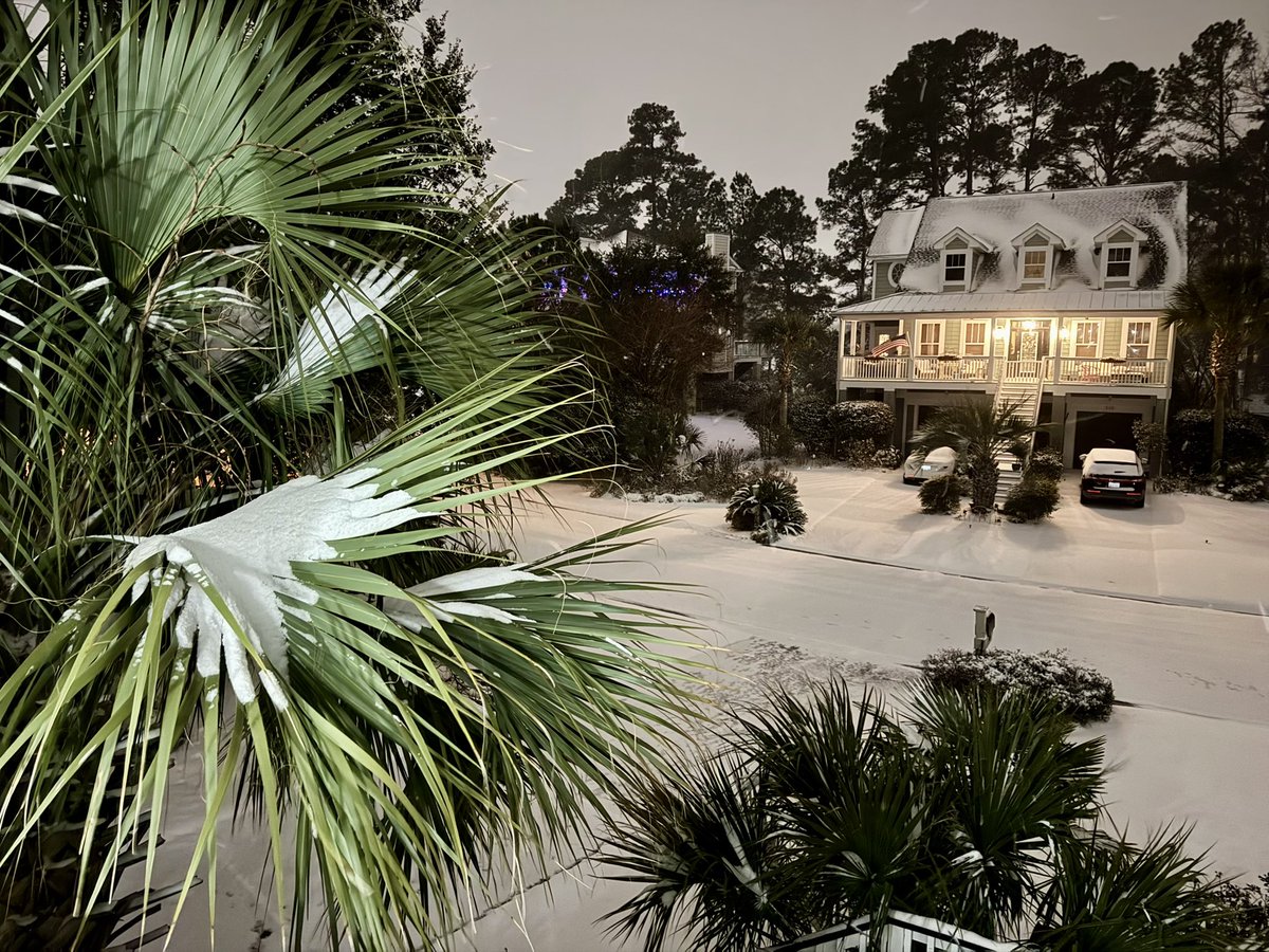 Tom in Myrtle Beach tweet media