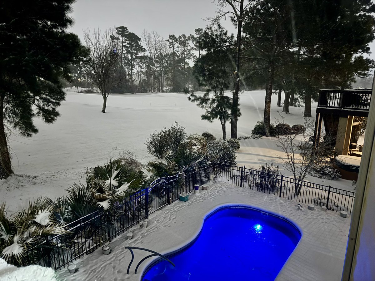 Tom in Myrtle Beach tweet media