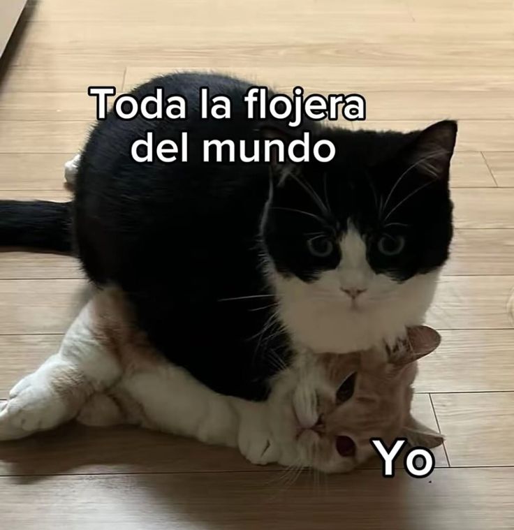 Darkness Girl (@girgrinch9) on Twitter photo 