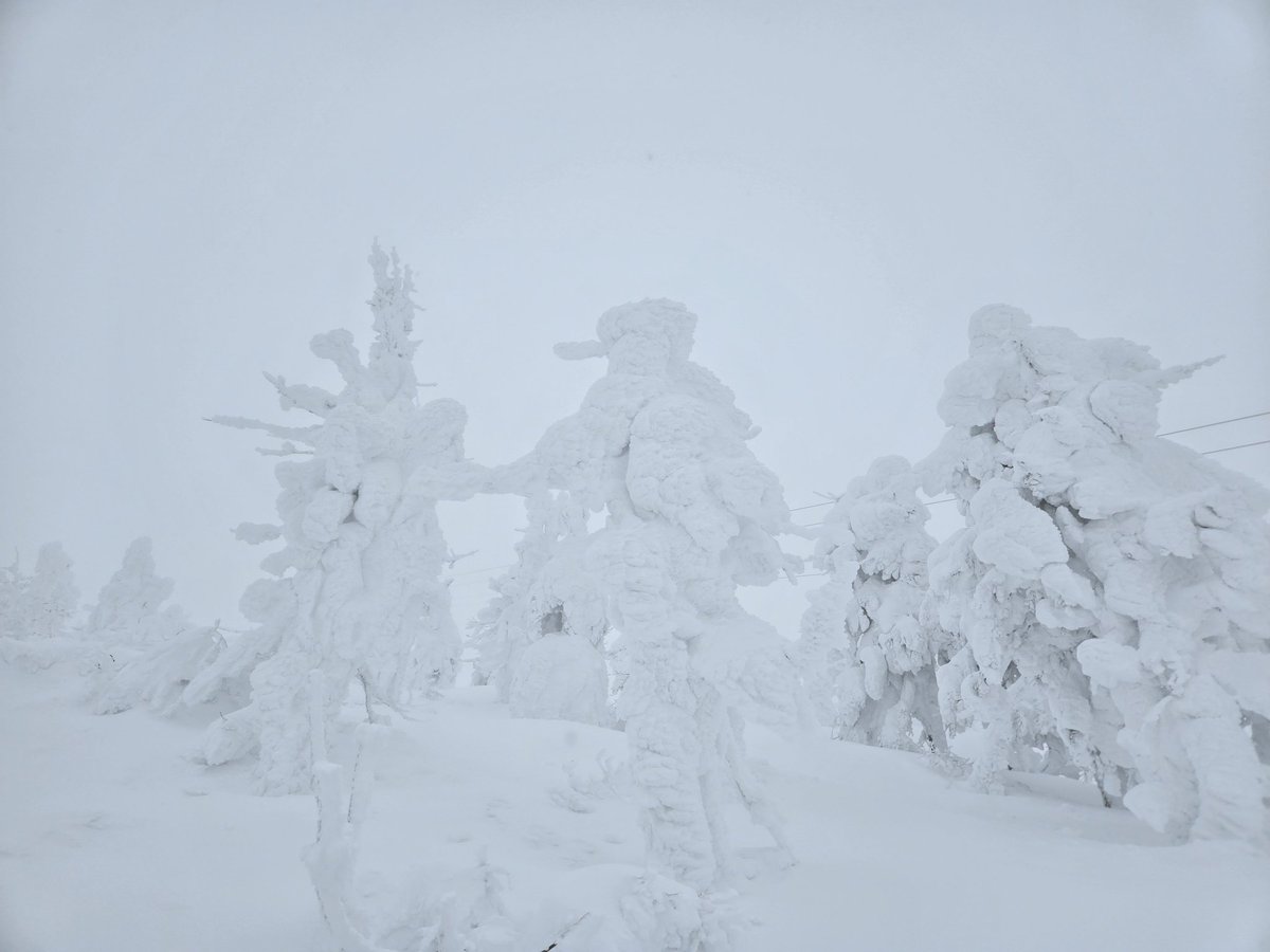 蔵王の樹氷はこんな天気では良く見えない