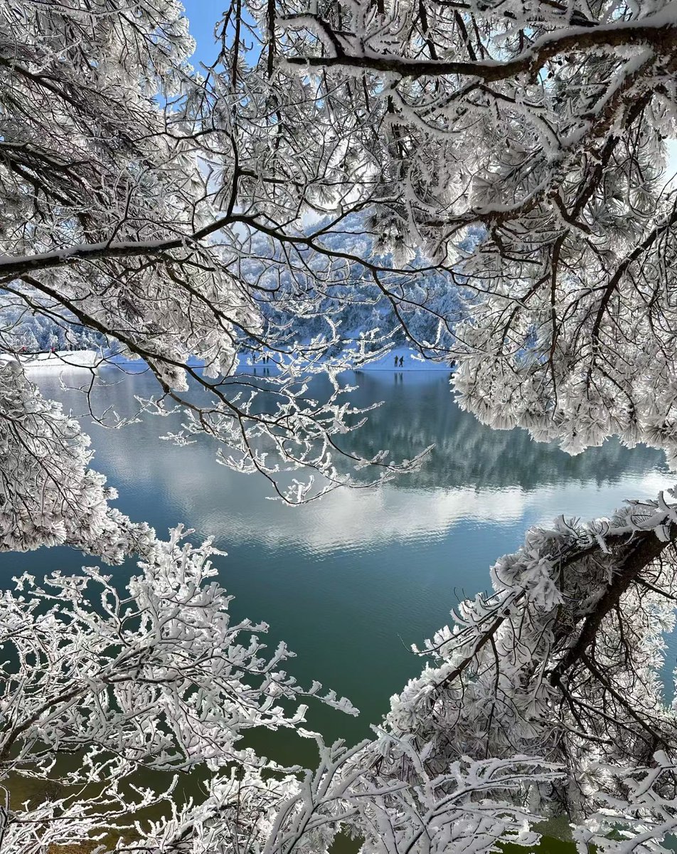 HolidayFE tweet media