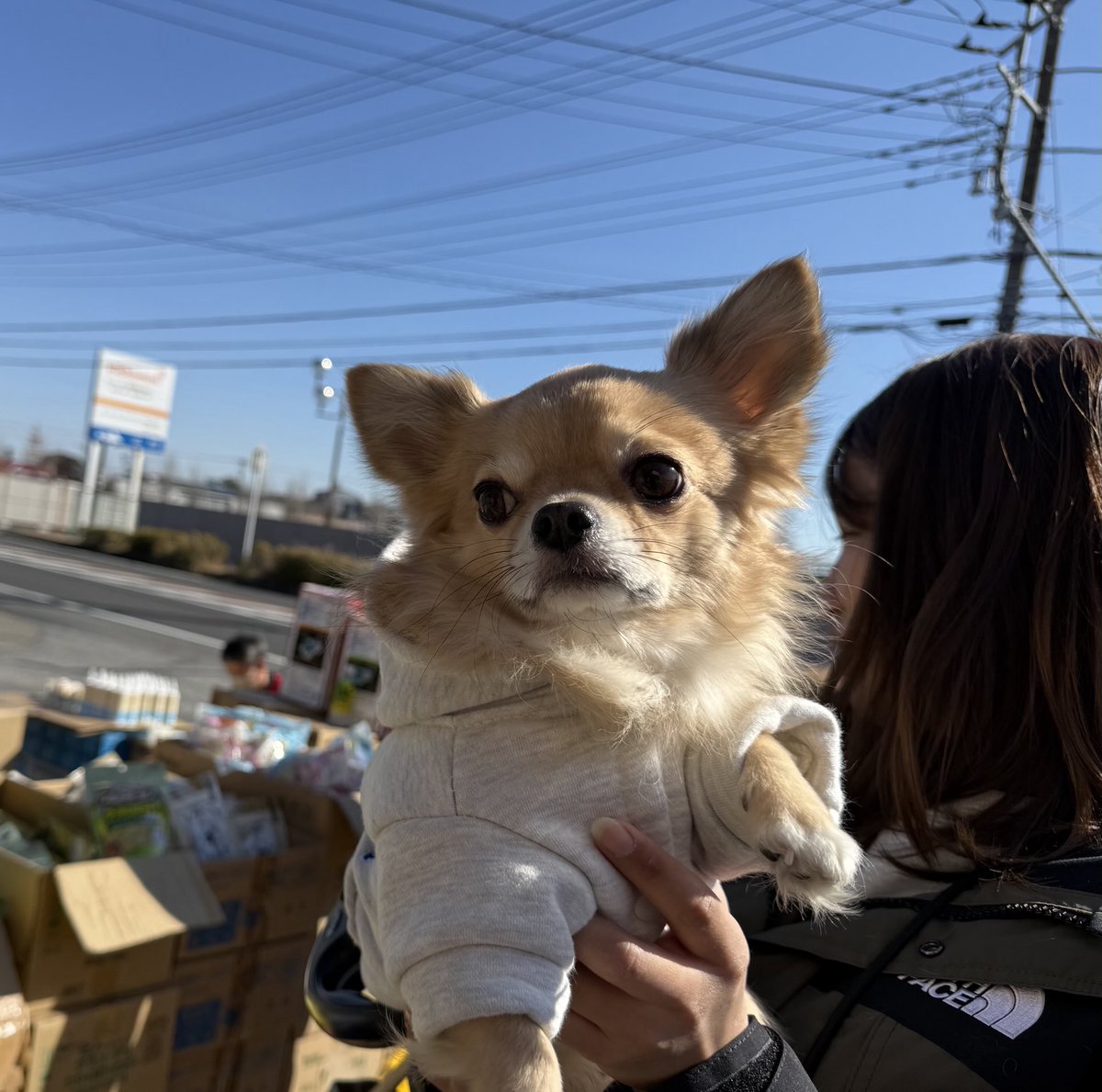 チャッピーくん💕
ご来店ありがとうございました☺️