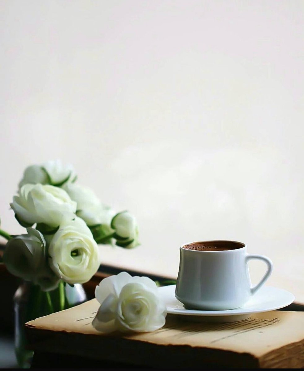 alool8541's tweet photo. #صباح_الخير
 للحياة
  للهواء النقي 
    للبشر الطيبة 
     للإبتسامات الصادقة 
       صباح المحبة لكم يا أحبة ؛؛؛ https://t.co/kys6y473D8