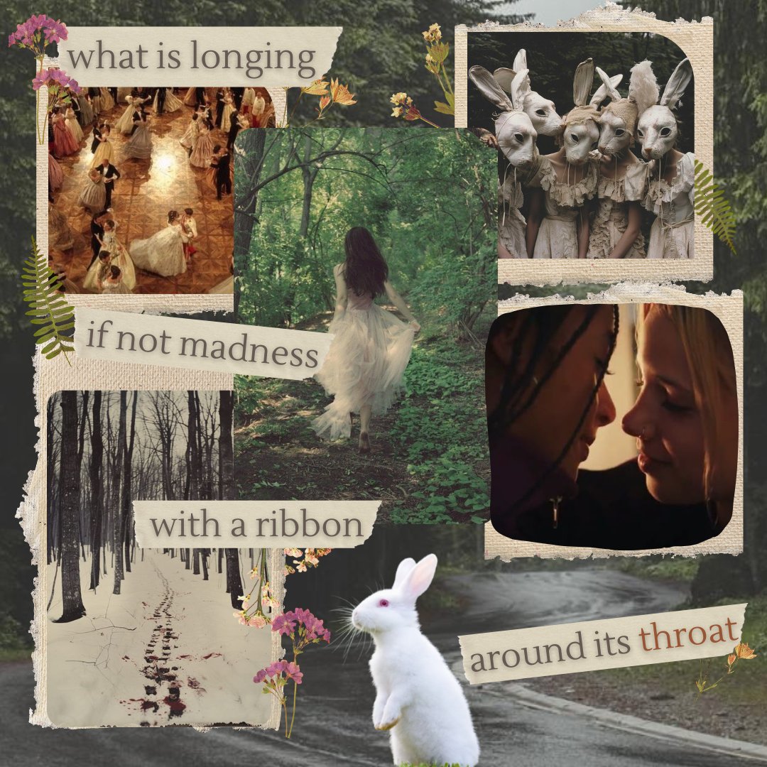 noor jiwad 🍄🐇🌲 tweet media