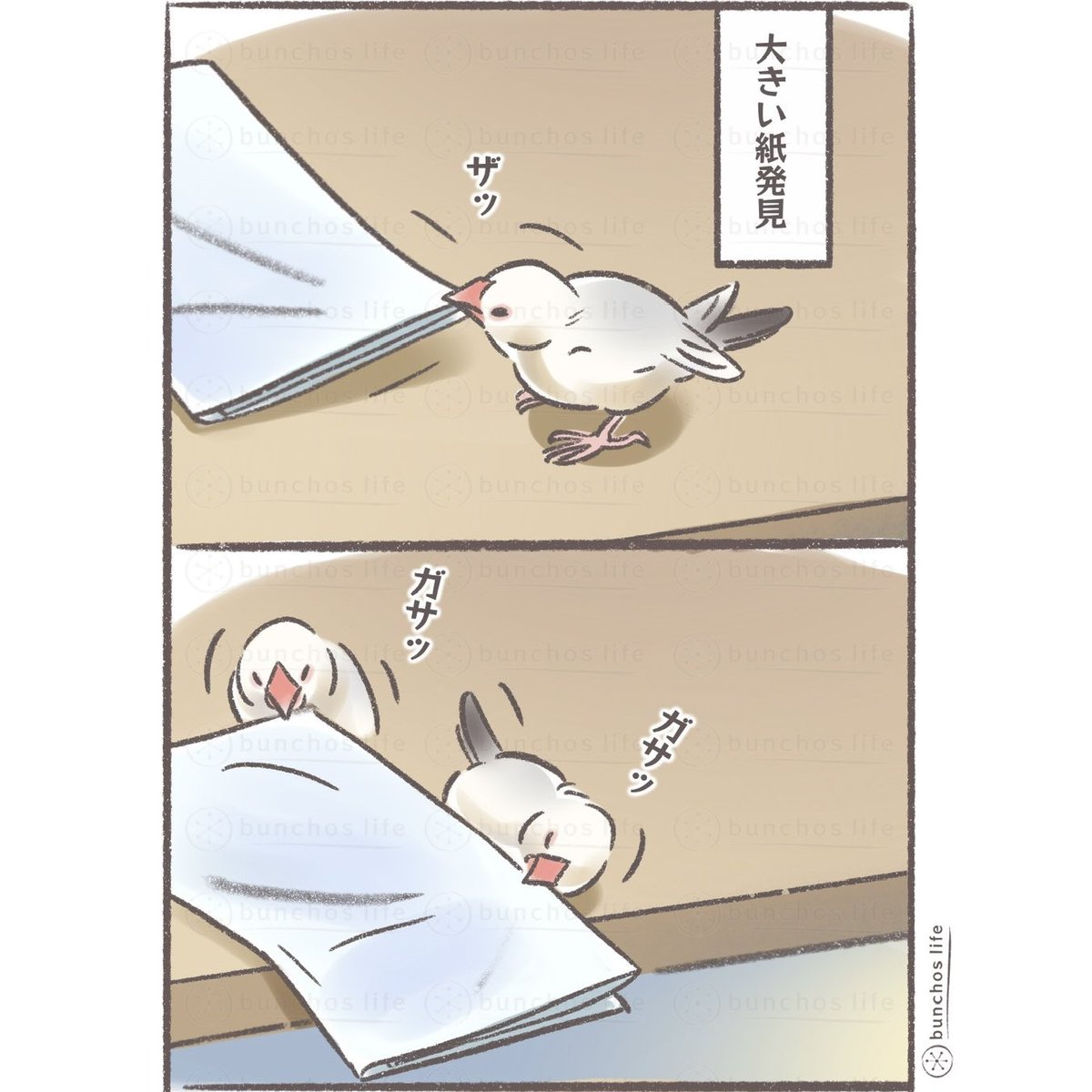 こむぎ🕊️ (@komugi_chan55) / Posts / X