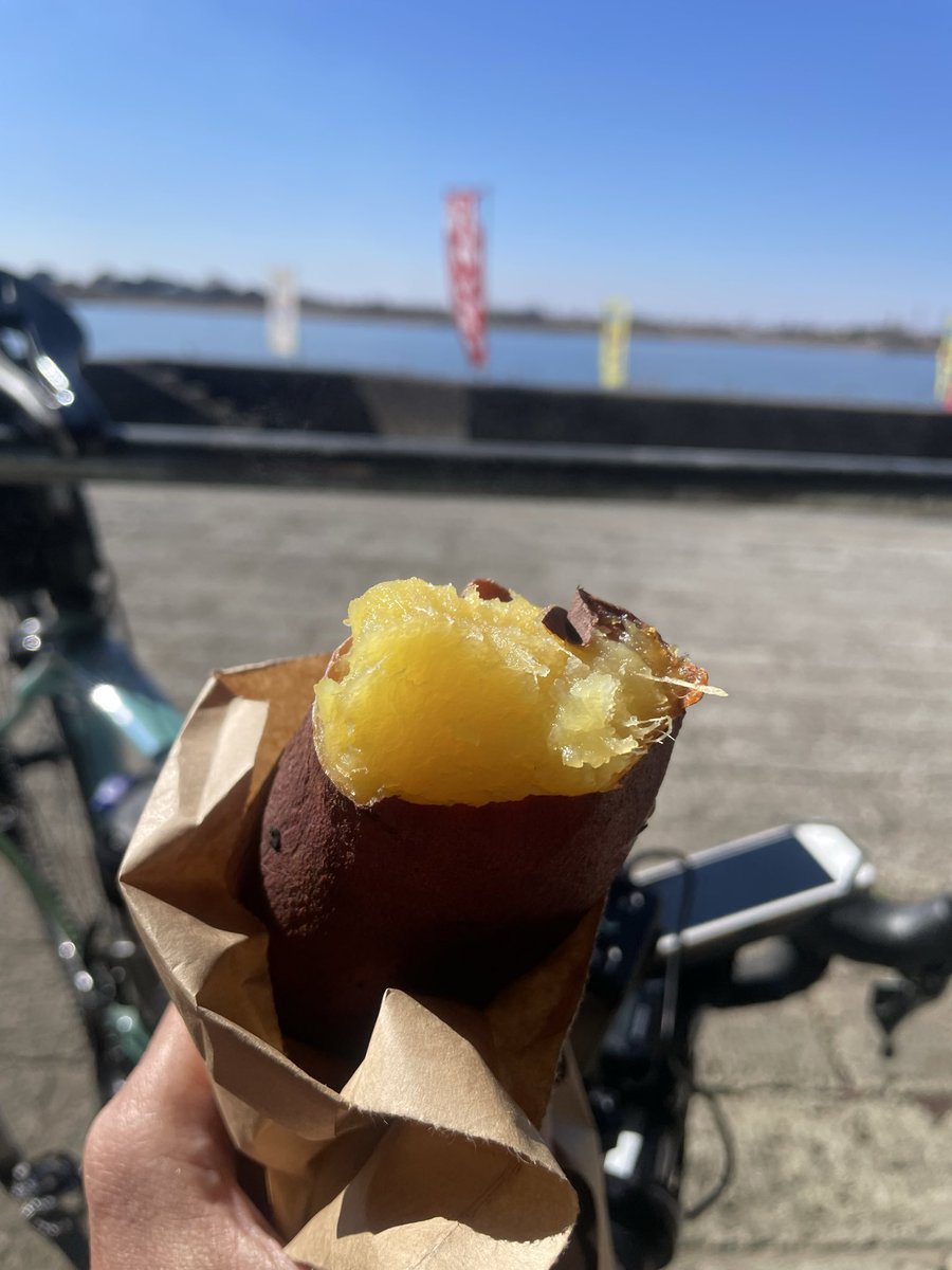 ＣＡＴ３０８ tweet media