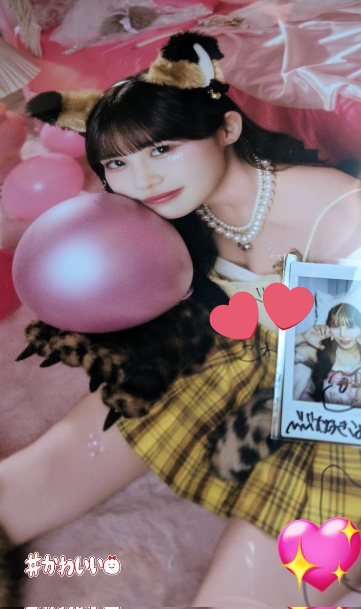 こめちゃん😸💖ずっとびびちゃんと一緒 (@bibiyone) / Posts / X