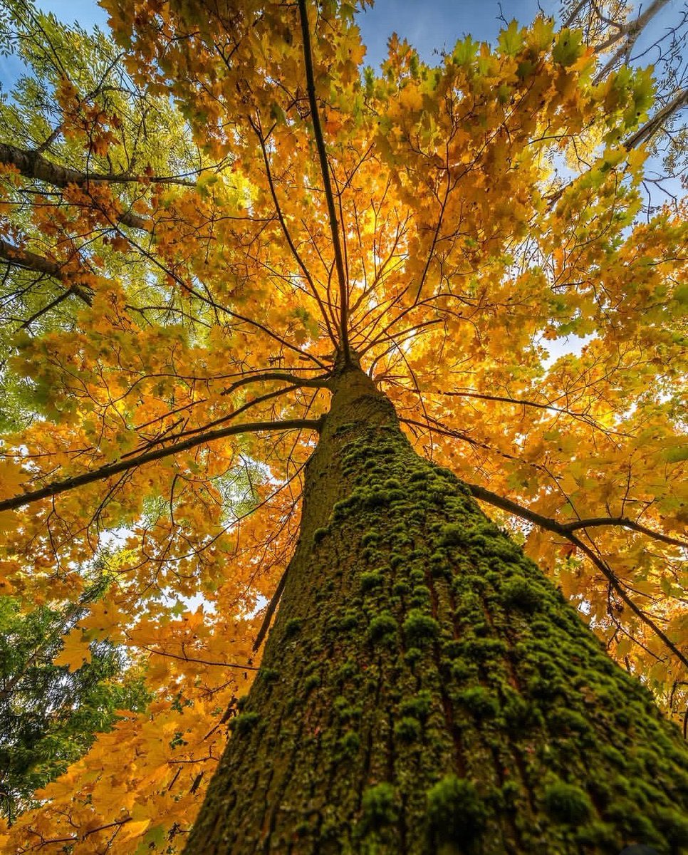 Booklicious5's tweet photo. Accomplish which 
Couldn’t complete 
Previously 😊

#HappyMonth ahead 🥰
Welcome #february2026 

#treetrunk  #NaturePhotography https://t.co/QcdX6cjO2a