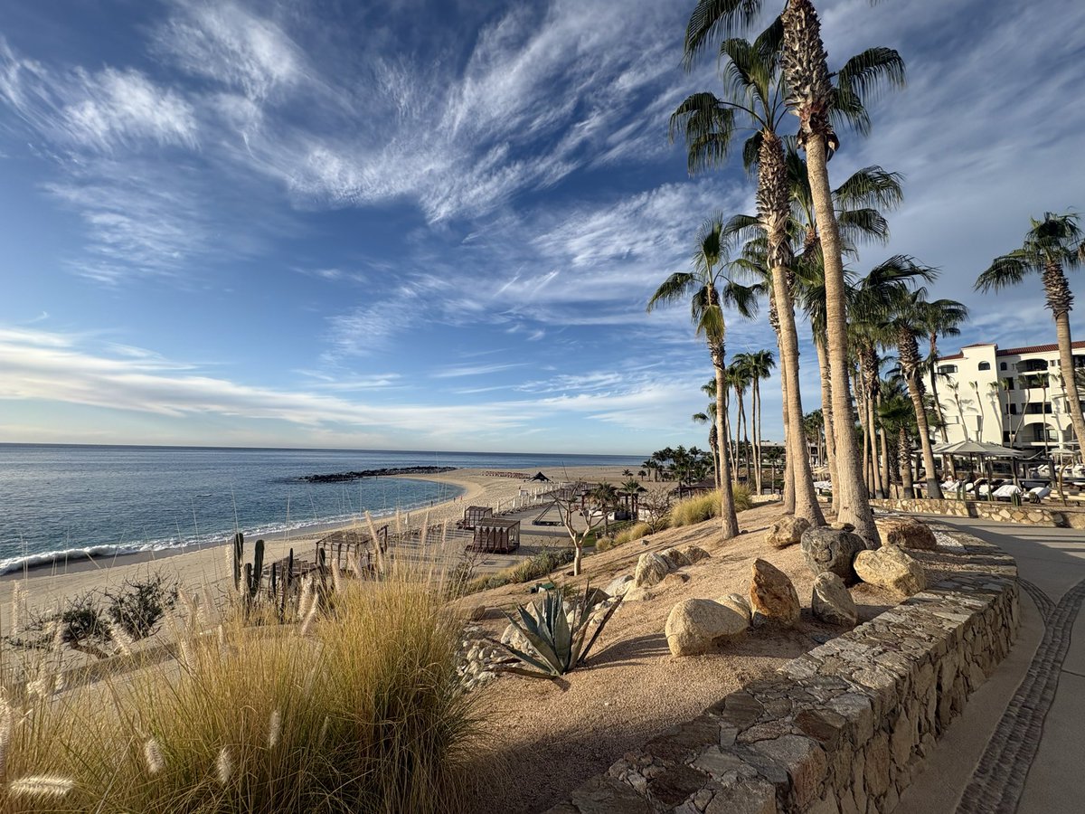 Viva La cabo