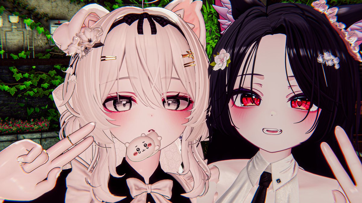 현또또 tweet media