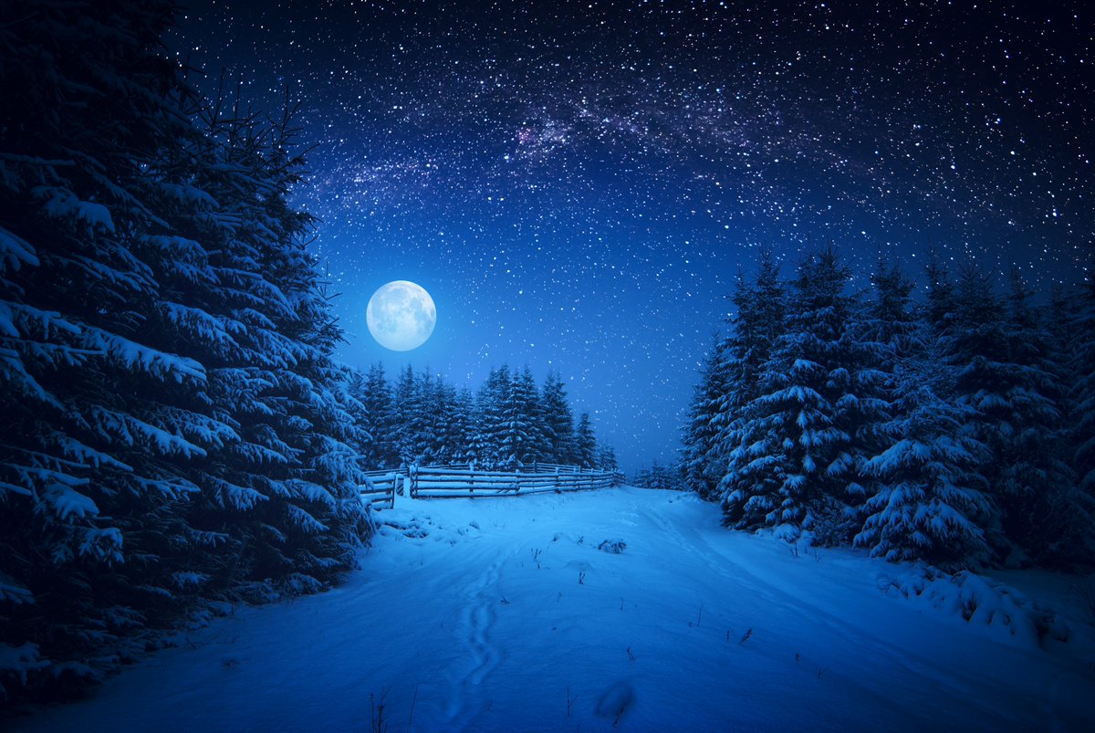 BethFratesMD's tweet image. Wishing you a restful, peaceful night under the winter sky. ❄️🌙✨ As January ends, may you find calm and renewal for the month ahead. Sleep well and embrace tomorrow’s fresh start!

#WinterNight #FullMoon #StarrySky #NaturePhotography #Wellness