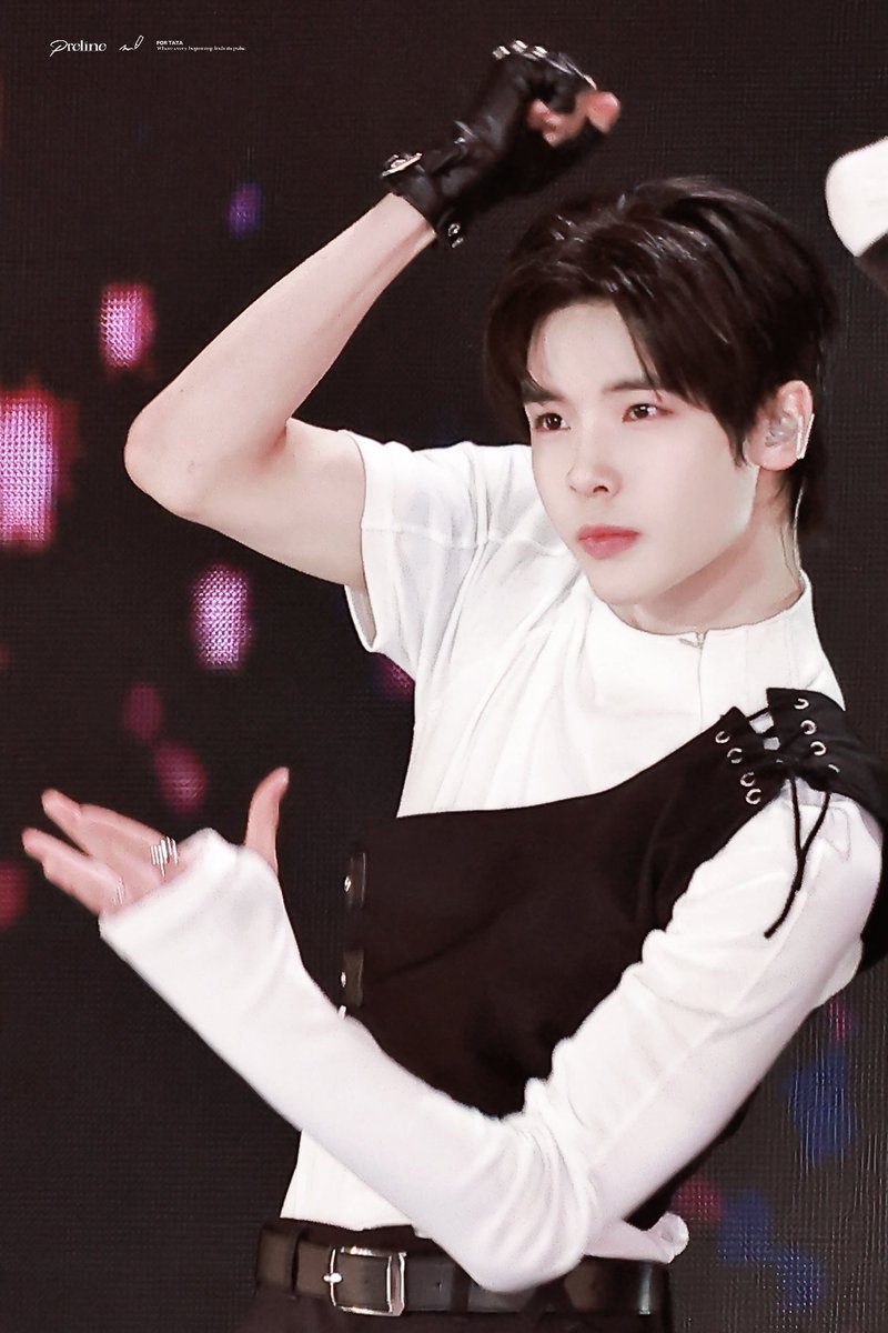 Preline. tweet media