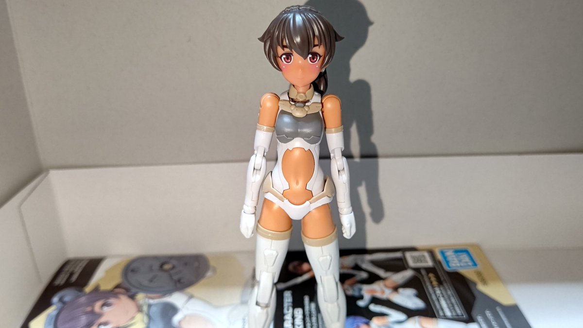 完成(武装は装備させてない)しましたよ〜 美プラは久しぶりに組んだ