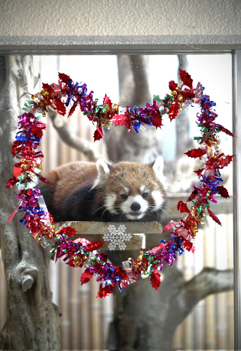 Post by Uta on X: 💓🥰