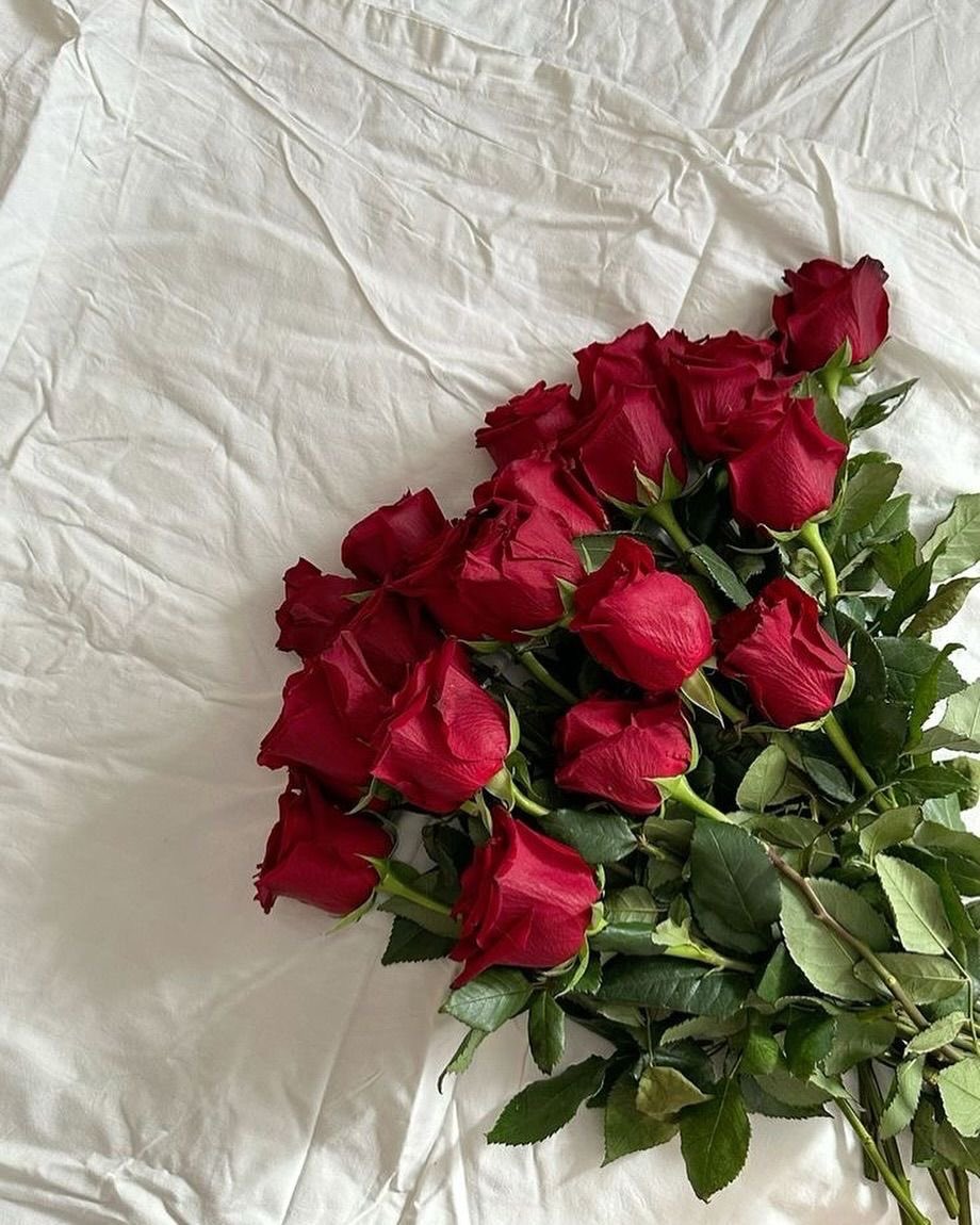 classyladylife's tweet photo. Hello February💌 https://t.co/BRqTCu8Deq
