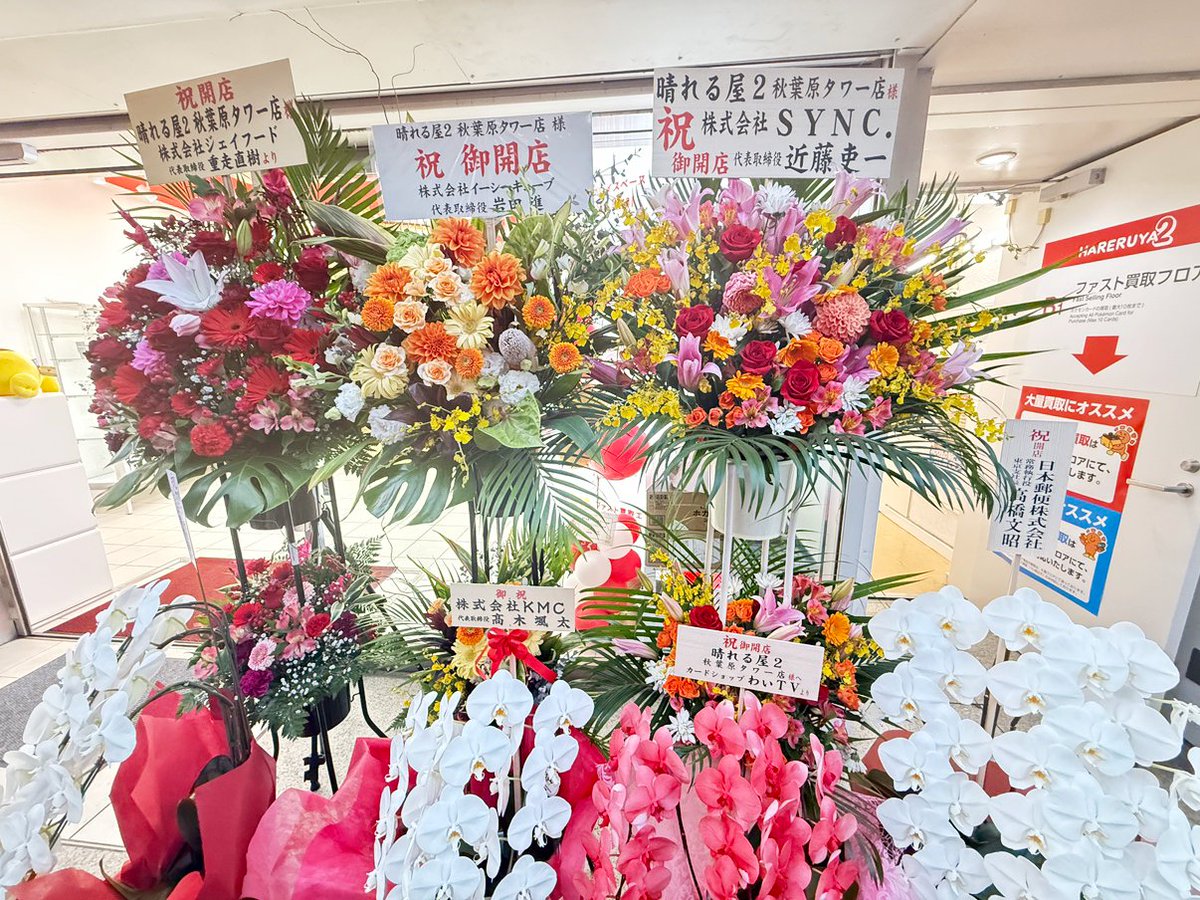hareruya2tower's tweet photo. 【御礼】
晴れる屋2秋葉原タワー店オープンについて、弊社代表の岩田よりメッセージがございます。

「晴れる屋史上最大規模となるハレツータワーがついにオープンの日を迎え、初日から非常に多くのお客様にご来店いただきました。
厳しい寒さの中、足を運んでくださった皆様、そして今日まで開店準備に尽力いただいた関係者の皆様に、心より深く御礼申し上げます。

ハレツータワーは、ポケモンカードを通じてより多くのワクワクをお届けできるよう、スタッフ一同、日々邁進してまいります。皆様のご来店を心よりお待ちしております」