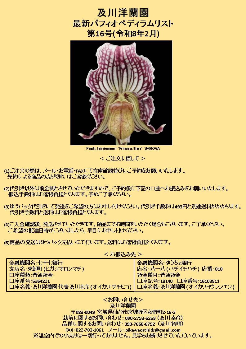 oikawa_orchids's tweet photo. いよいよ今週末に開催される「世界らん展2026 -花と緑の祭典-」に当園も出店させていただきます。当園の最新リストを発行いたしました。皆様とお会いできるのを楽しみにしております。
＃パフィオ #Paph #地生蘭 #洋蘭 #及川洋蘭園 https://t.co/dGFzWDJkzX