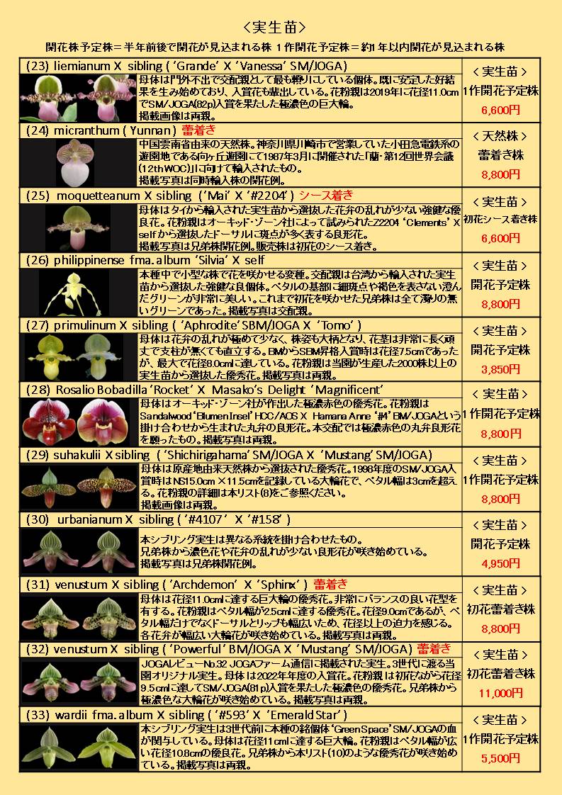 oikawa_orchids's tweet photo. いよいよ今週末に開催される「世界らん展2026 -花と緑の祭典-」に当園も出店させていただきます。当園の最新リストを発行いたしました。皆様とお会いできるのを楽しみにしております。
＃パフィオ #Paph #地生蘭 #洋蘭 #及川洋蘭園 https://t.co/dGFzWDJkzX