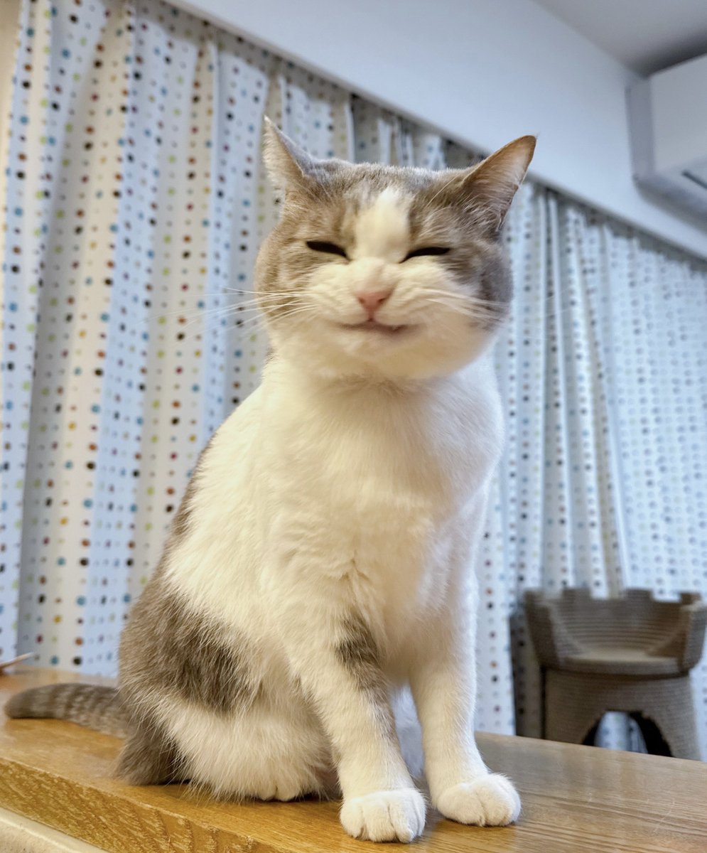 そうだよね、キッチンに立ったらごはんだと思っちゃうよね