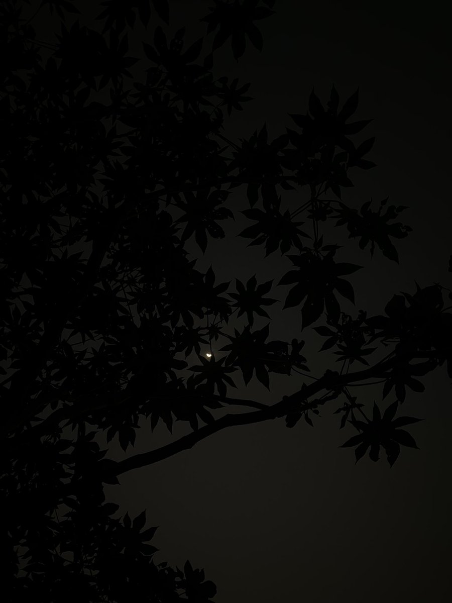 Promise Obaloluwa Akano tweet media