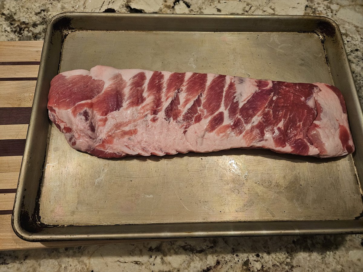 danmmeyer's tweet photo. well, they said it might snow in Tampa between 1am and 7am. I set my alarm for the middle, got up at 3:30am, and.... it's not snowing. Cold as hell though. will check again in a couple of hours. Might as well season the ribs since I'm up . https://t.co/m6xS0t1E1p