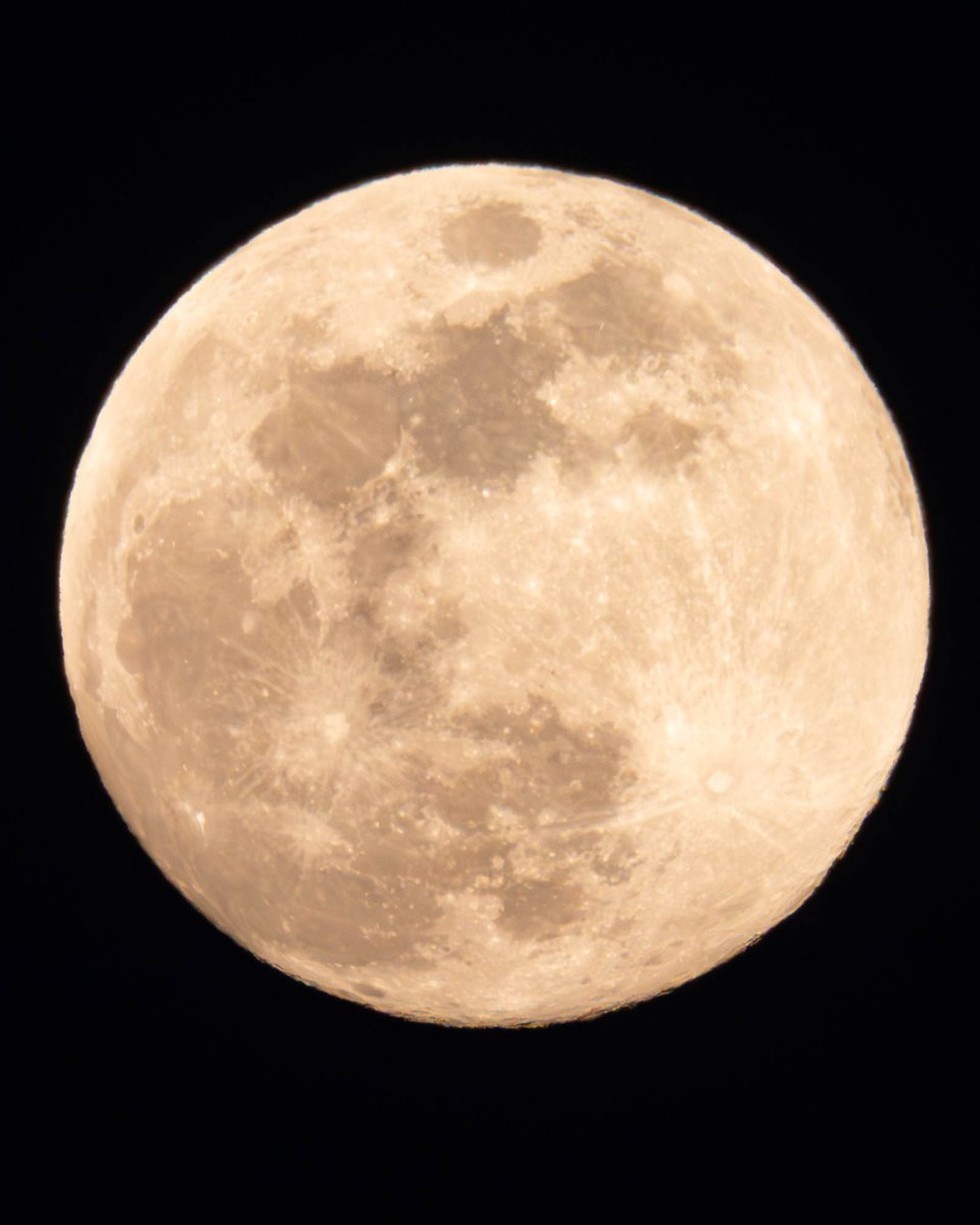 今夜の月です。
東の空にまん丸の美しい月が見えています。
明日2月2日の朝に満月を迎えるため、今夜も明日の夜もまん丸ですよ。
月の右上には木星が明るく輝いています。
お住まいの地域が晴れていましたら、暖かい格好でゆったりと月を眺めてみましょう。