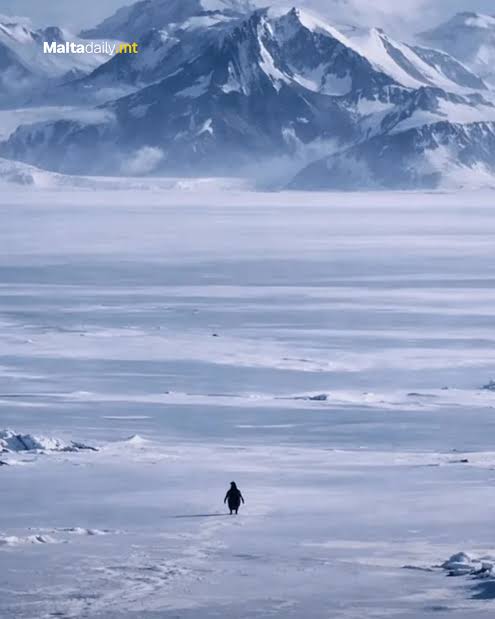 ConceptualJames's tweet image. The psychology behind the meme is nihilistic liberation. The group has to be escaped at all costs so the individual can find itself, not to live, but to die. This is the result of mass psychological operation and collectivist formation failing just as it did in the USSR.

It's a…