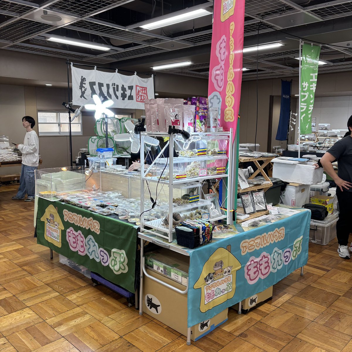 アニマルハウスももれっぷ　3月15日エキスポスーパーアリーナ出店 tweet media