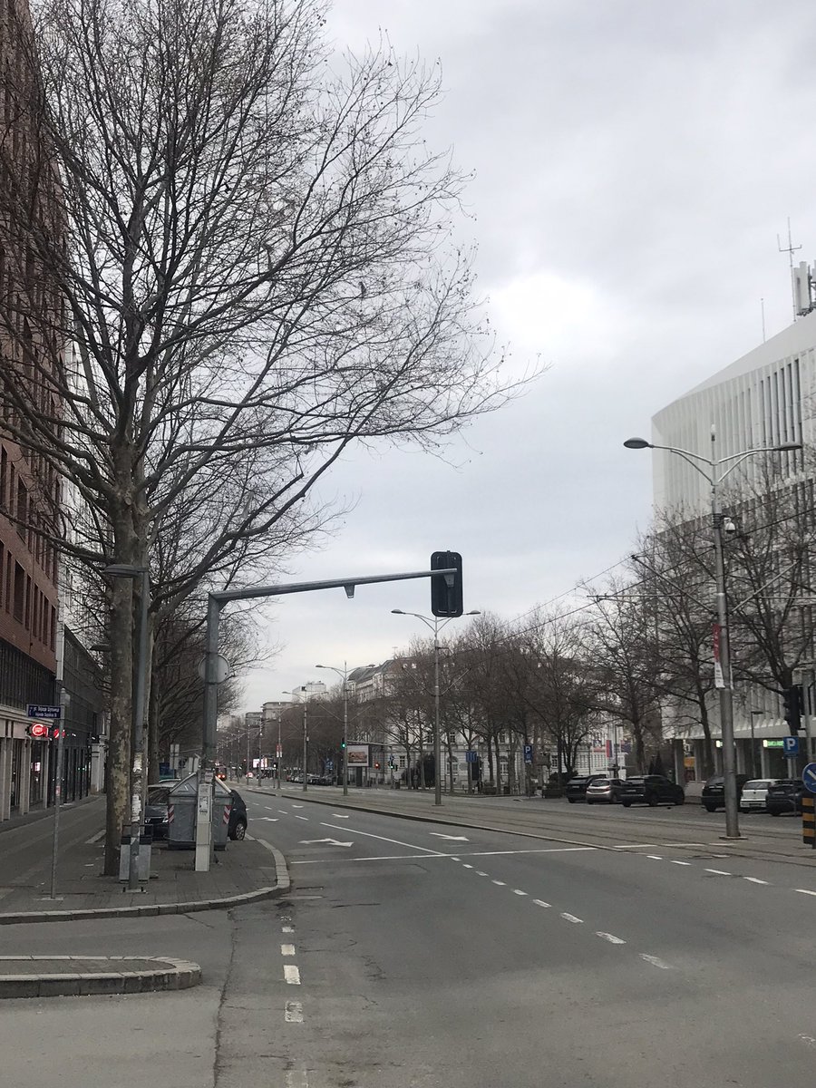 Tetradekaedar's tweet image. Not sure if policijski čas ili Novak igra finale AO