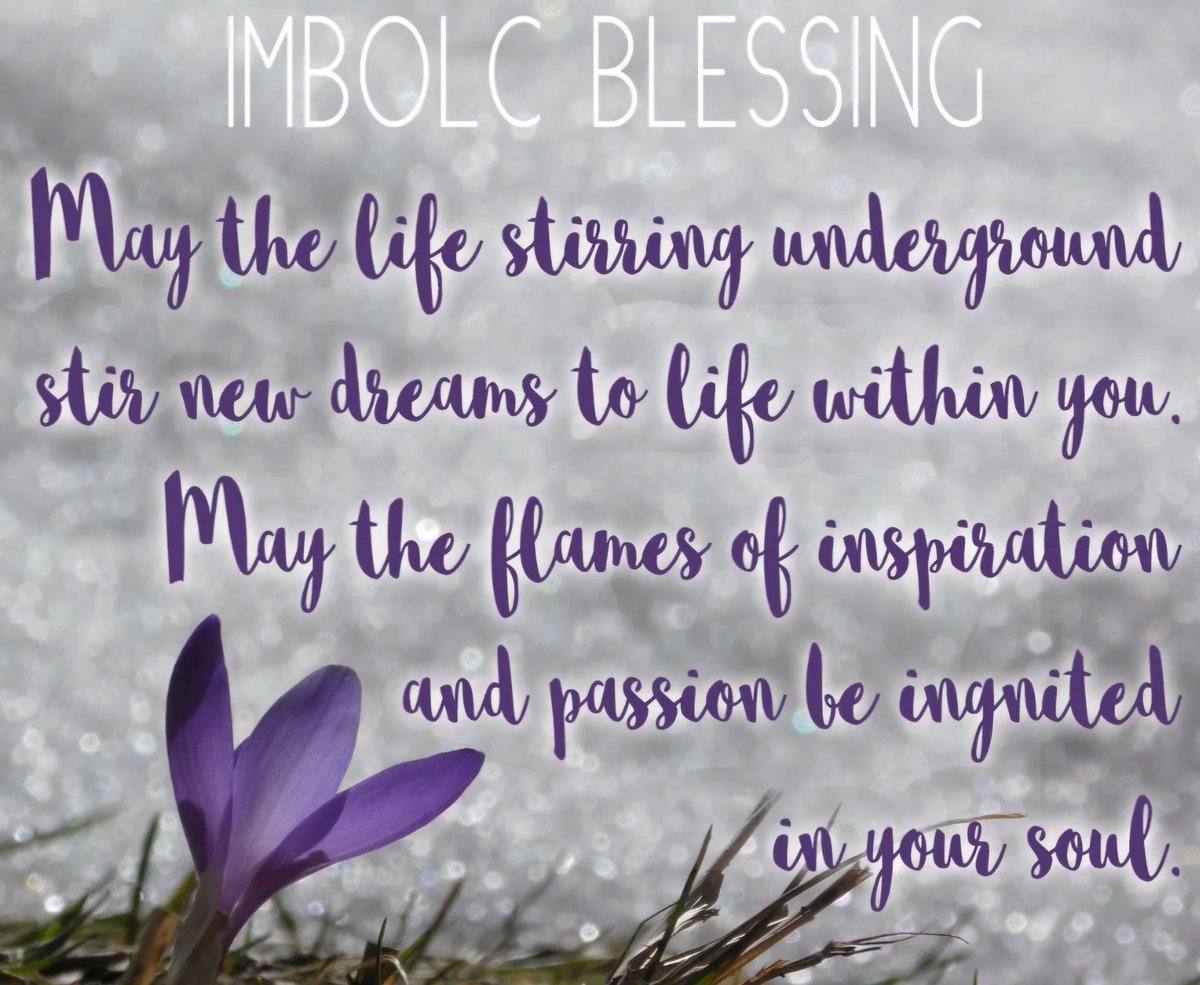 Blessings for #Imbolc to those who celebrate. The light is returning 💜🤍💜🌱