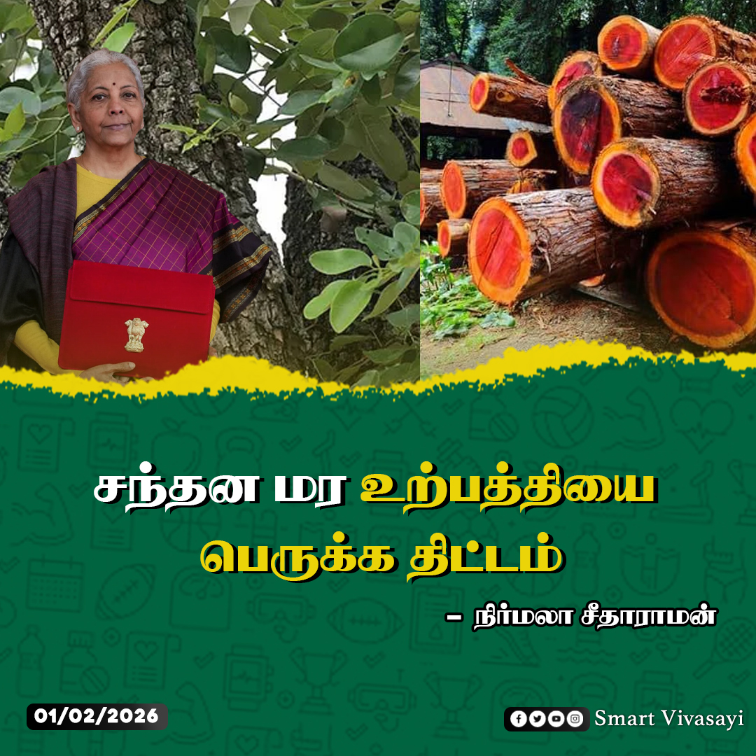 smart_vivasayi's tweet photo. சந்தன மர உற்பத���தியை பெருக்க திட்டம் - நிர்மலா சீதாராமன்

#NirmalaSitharaman | #Budget2026 | #BudgetSession2026 | #Smartvivasayi | #CentralBudget | #FMNirmalasitharaman | #Delhi | #BudgetUpdate https://t.co/uZJpfh2r4c