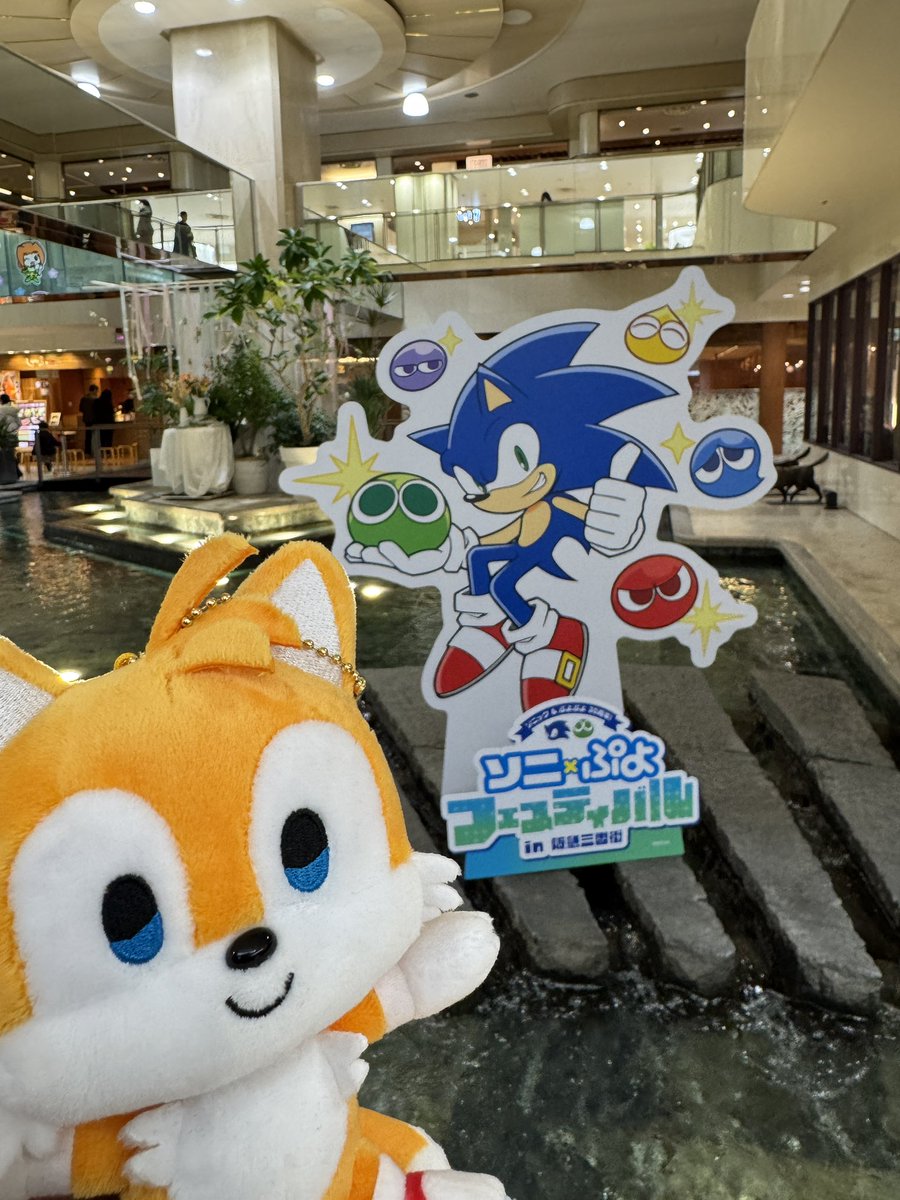 ✨When the Stars Collide ✨ tweet media