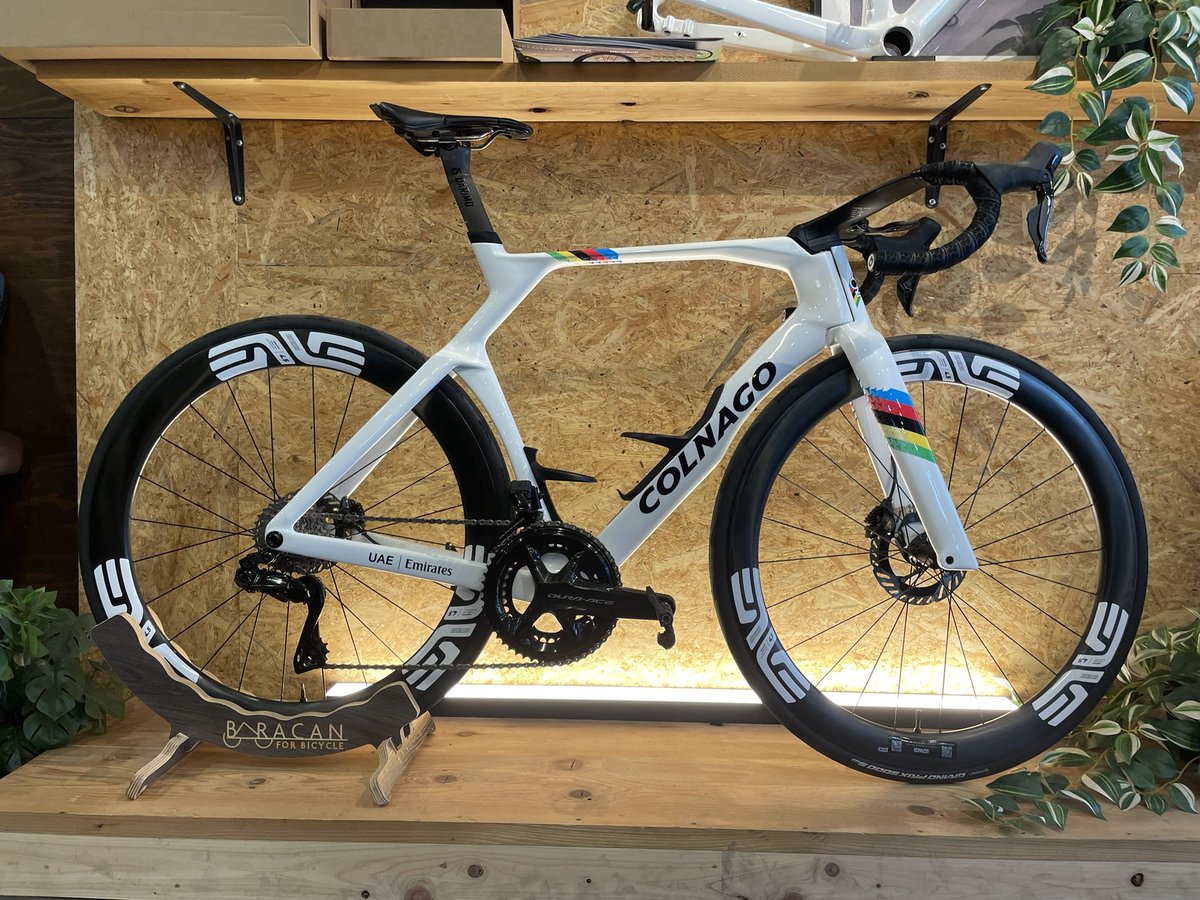 カピバラ (@CapybaraLIZED) / Posts / X