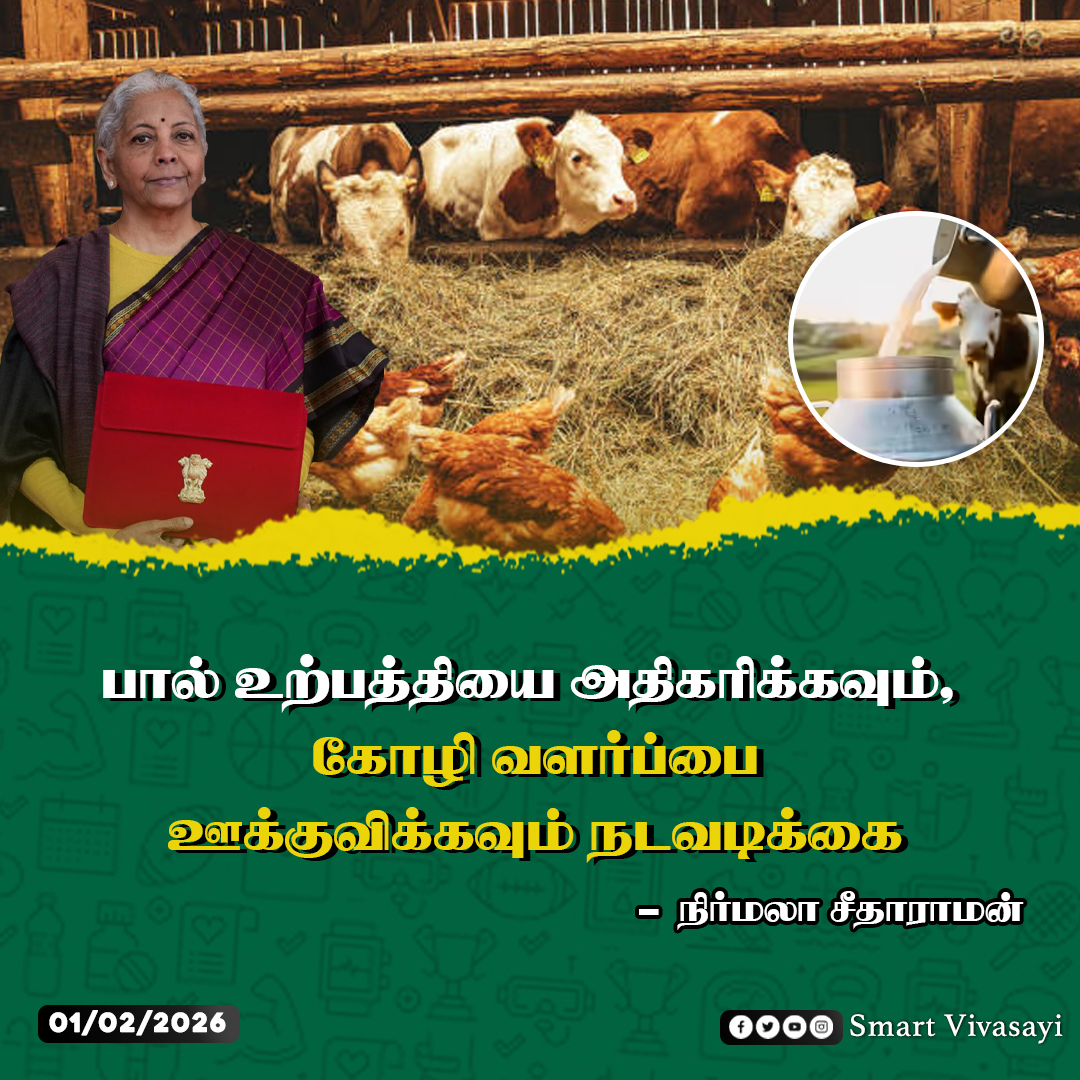 smart_vivasayi's tweet photo. பால் உற்பத்தியை அதிகரிக்கவும், கோழி வளர்ப்பை ஊக்குவிக்கவும் நடவடிக்கை - நிர்மலா சீதாராமன்

#NirmalaSitharaman | #Budget2026 | #BudgetSession2026 | #Smartvivasayi | #CentralBudget | #FMNirmalasitharaman | #Delhi | #BudgetUpdate https://t.co/4xEo1b7kFT