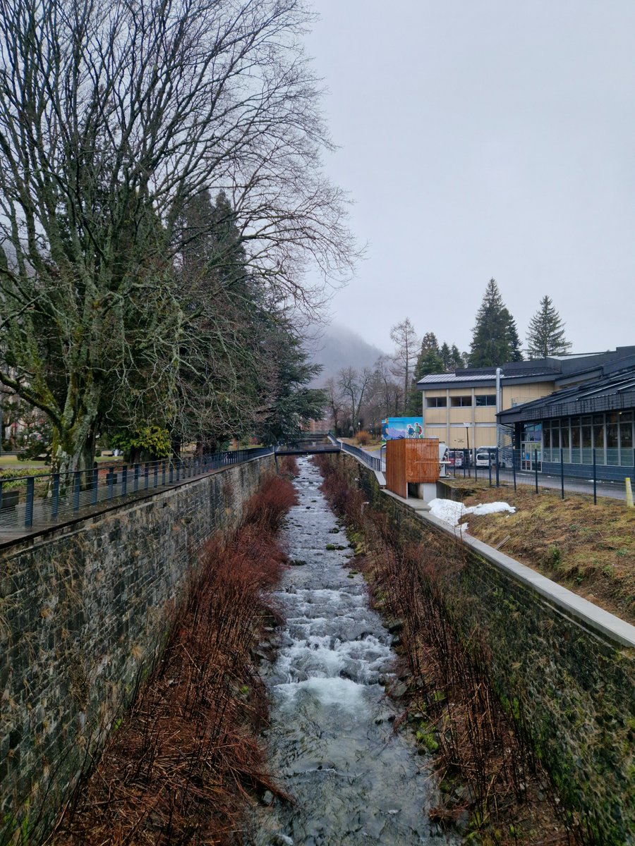 otmontdore's tweet image. 01 février · Le Mont-Dore, 8h53 · 1°C · pluvieux🌧️
@otsancy @meteosancy #meteo
