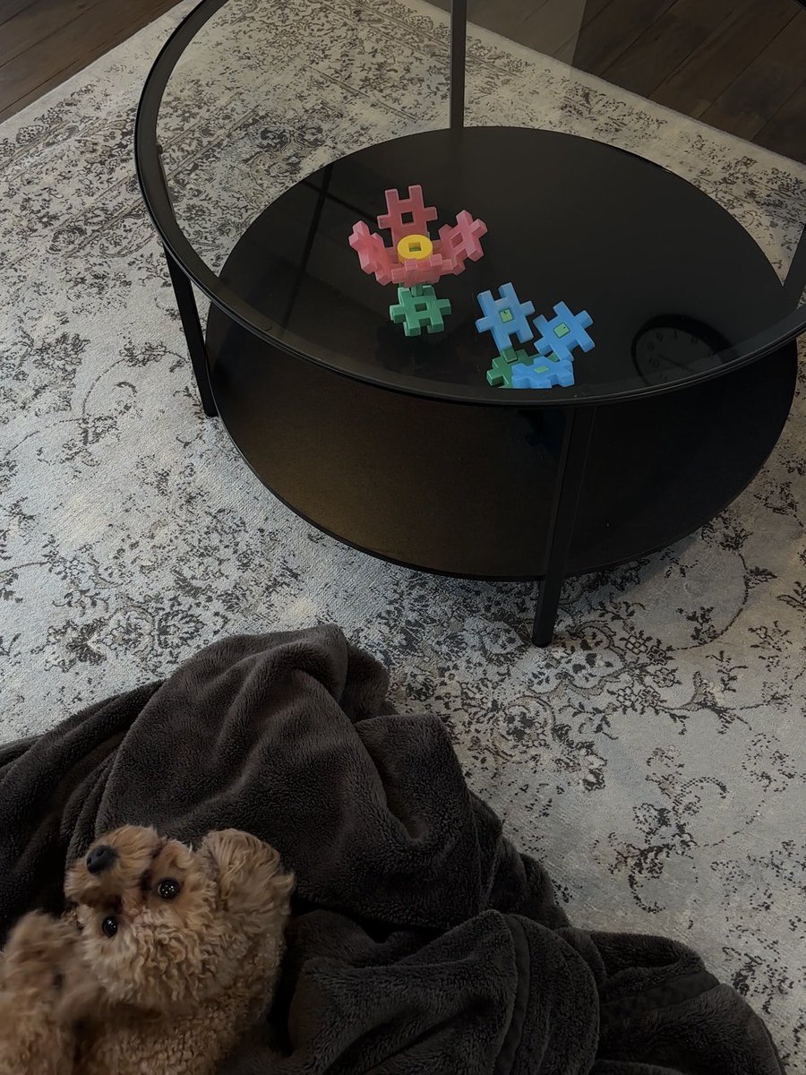 Haato_hs's tweet photo. 次男作のブロックのお花かわいい🌷🪻 https://t.co/o0mGo83eFi