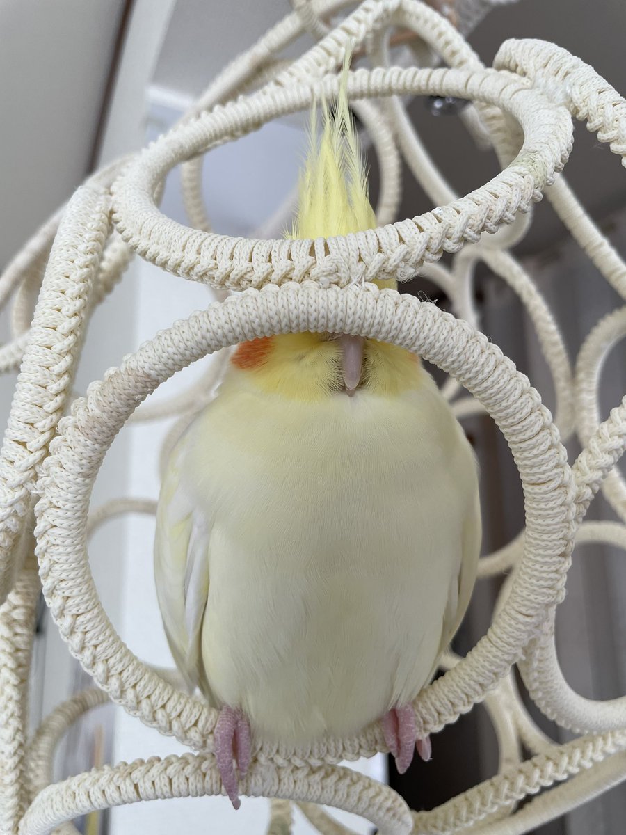 なんも見えねぇ…