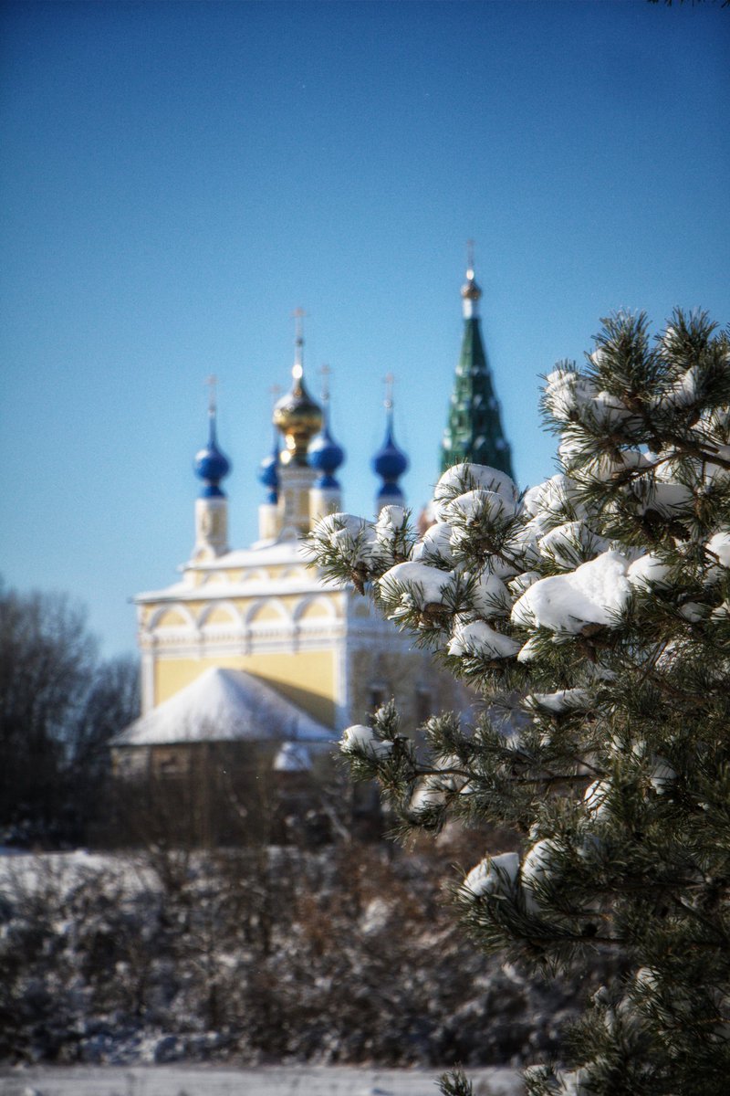 d_kolobok tweet picture