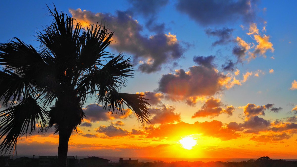 k19ch1's tweet photo. 2月1日
八丈島の夕暮れ
寒いけど綺麗な夕陽
強風波浪の夕暮れ
ANA最終便は定刻就航
お疲れ様でした
#八丈島
#八丈島民図鑑
#宇喜多秀家公と豪姫の碑
#夕暮れ
#夕陽
#八丈島空港 #RJTH 
#JA211A #全日空 https://t.co/GFW4XU80b1