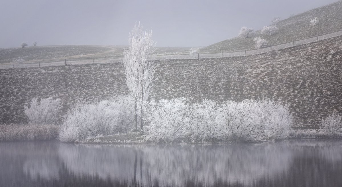 Mackenzie Country Frost 101

#landscape #photography #nature #NewZealand #Frost