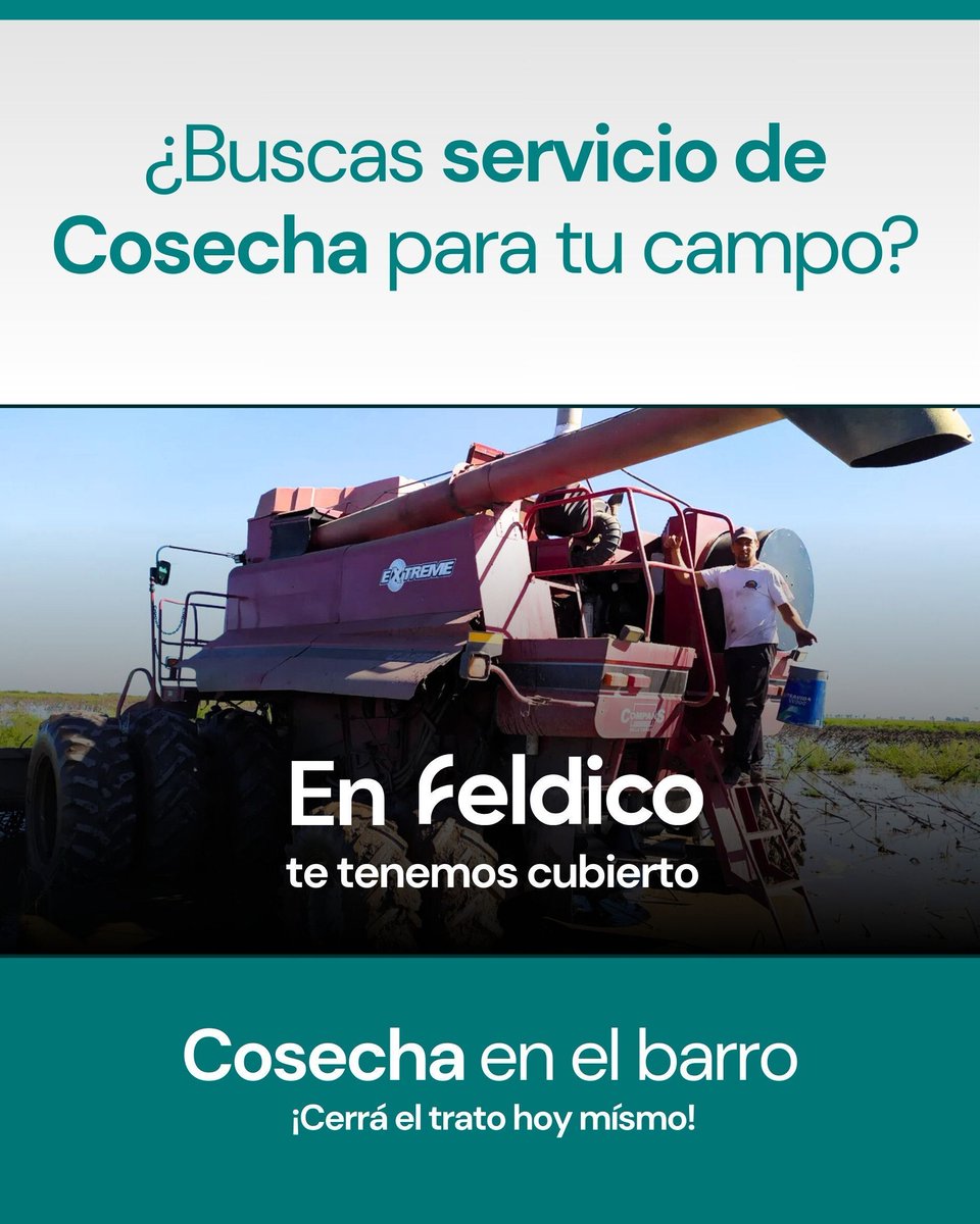 feldico's tweet image. 🌾 ¿Buscás servicio de cosecha?
En Feldico te tenemos cubierto.

Cosecha en barro y suelos inundados
“Donde otros no andan… yo sí”

🚜 Case Axial-Flow 2388 (2007)
📍 Laboulaye, Córdoba

Cerrá el trato hoy 👇
🔗 feldico.com/cosecha/laboul…

#cosecha #barro #campo #agro #agroargentina