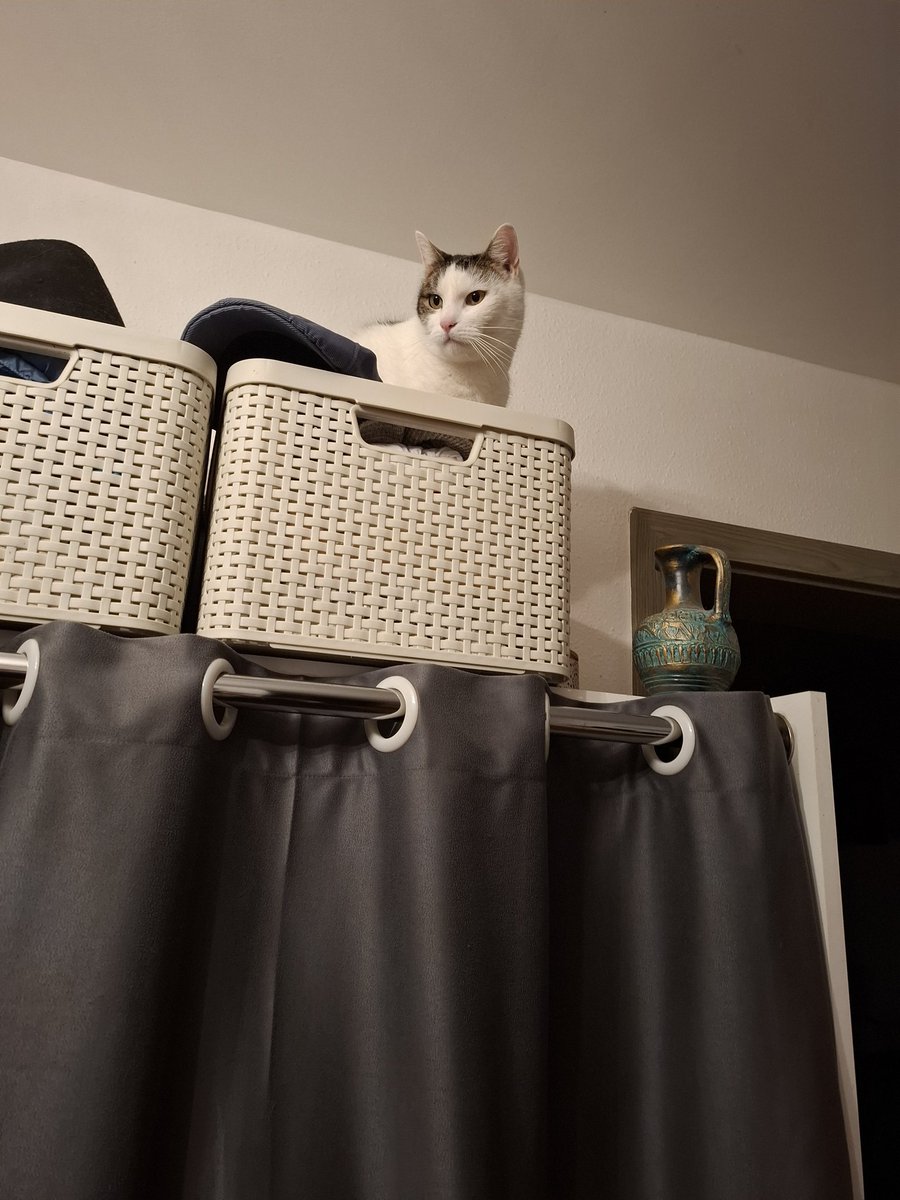 Hier oben kann man alles gut beobachten