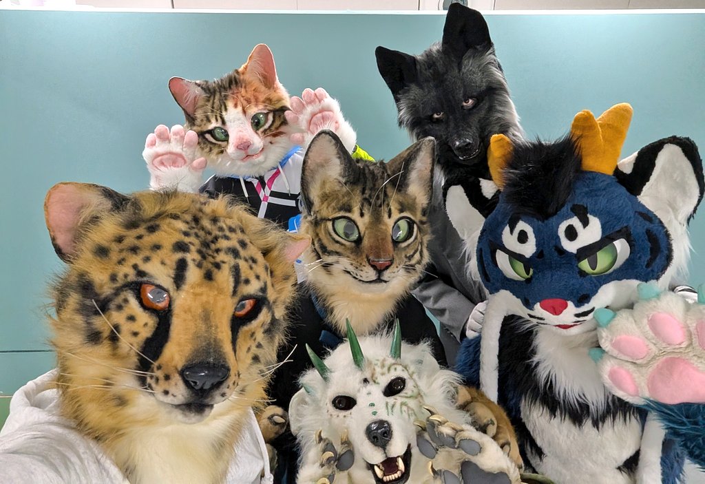 蛟〔MIZUCHI〕エル〔Elle〕 tweet media