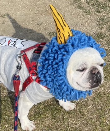 世紀末覇者ちゃけのり tweet media