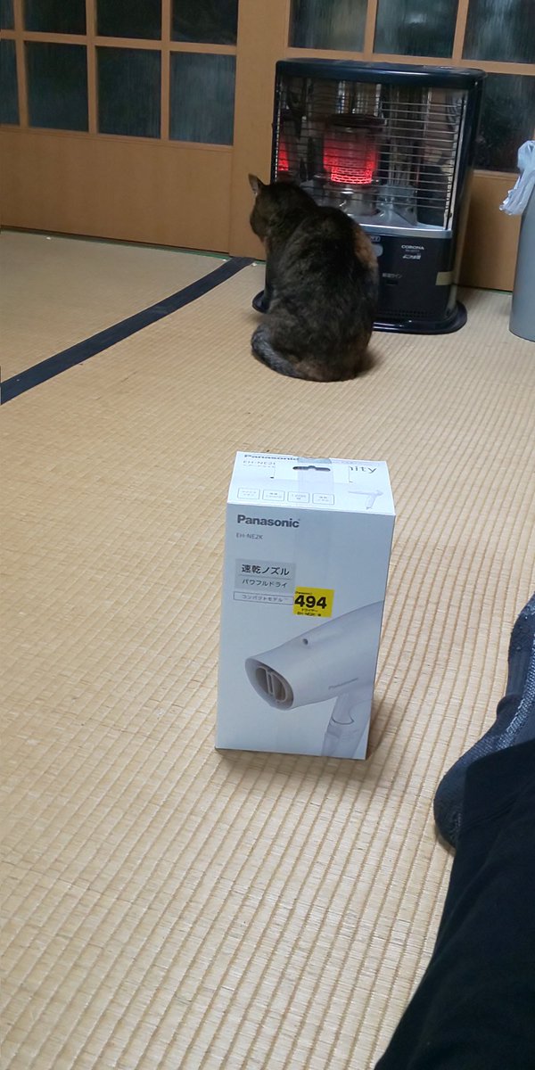 チャチャポヤス (@yukio43nisitani) / Posts / X