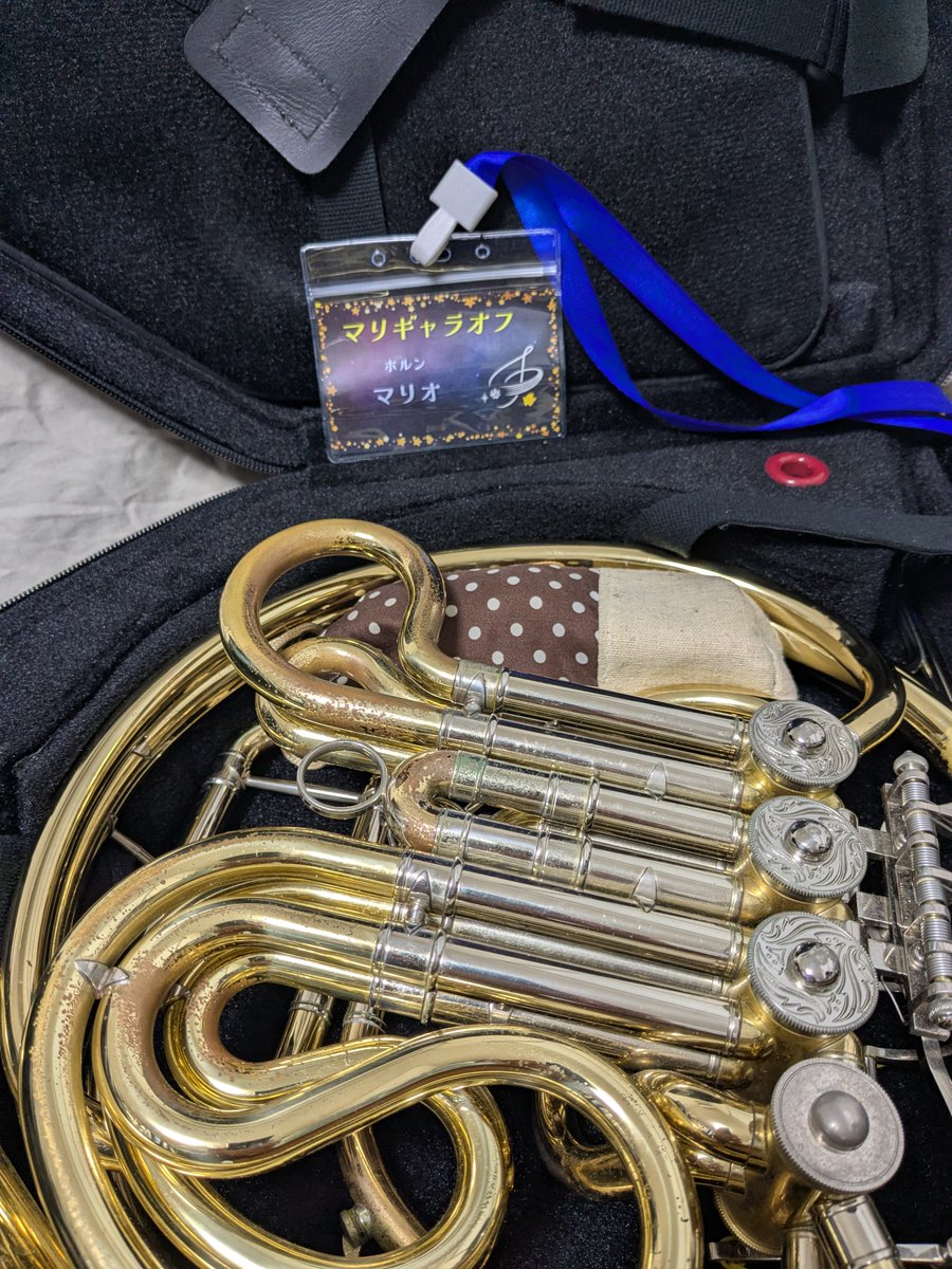 まりおページ☆ マリギャラオフ 終了。体調が完全に戻ってれば、こんなヘボい音し