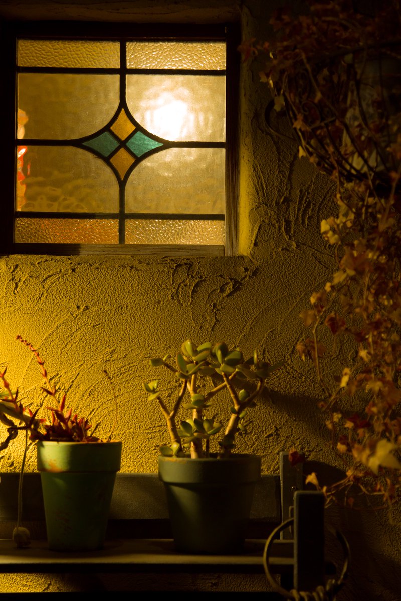 灯りが柔らかく落ちる中
棚の作品たちに
挨拶をしながら手直しを🏠🌙

「今日もたくさん愛してもらえてよかったね」
と、心の中でつぶやきながら😌🍀

閉店後のこの静けさが好きなのです💗

皆さんも
穏やかな夜をお過ごしくださいね✨

また明日12:00〜
お待ちしております😊🫖☕️