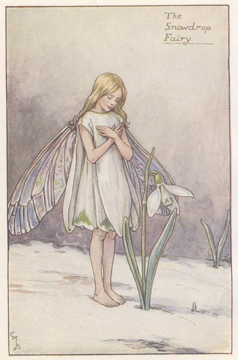 ArtGuideAlex's tweet photo. Fair Maids of February..
#TheSnowdropFairy #CicelyMaryBarker #Feb1 https://t.co/syRsIK2itv