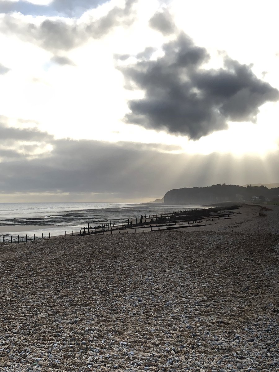 Mayfieldbirder's tweet image. End of day and end of month visit to #PettLevel. Missed reported RTD though just offshore a flotilla of Wigeon and onshore a scattering of Oystercatcher, Curlew and Herring Gull.