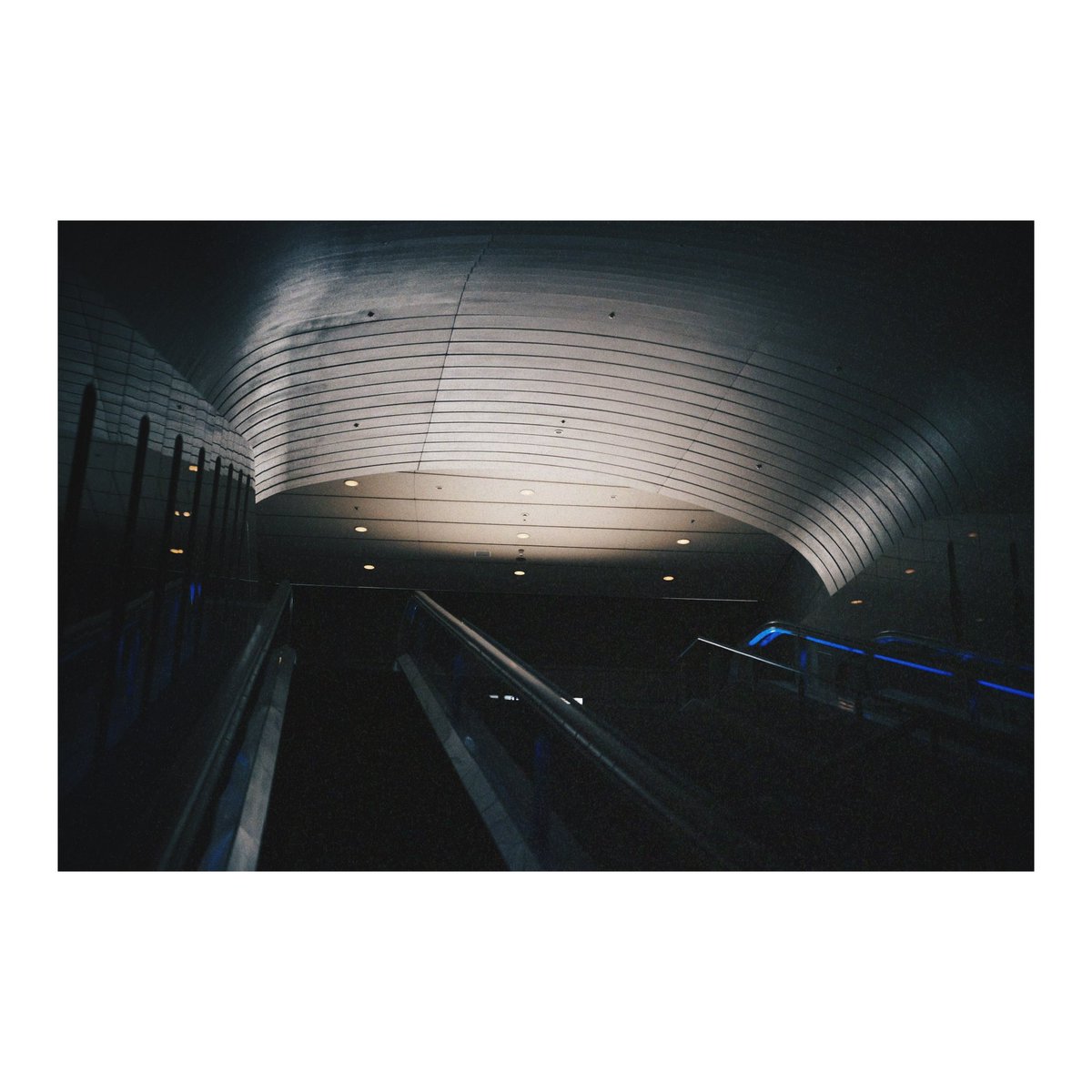 どんぐり (@dongri1620) / Posts / X